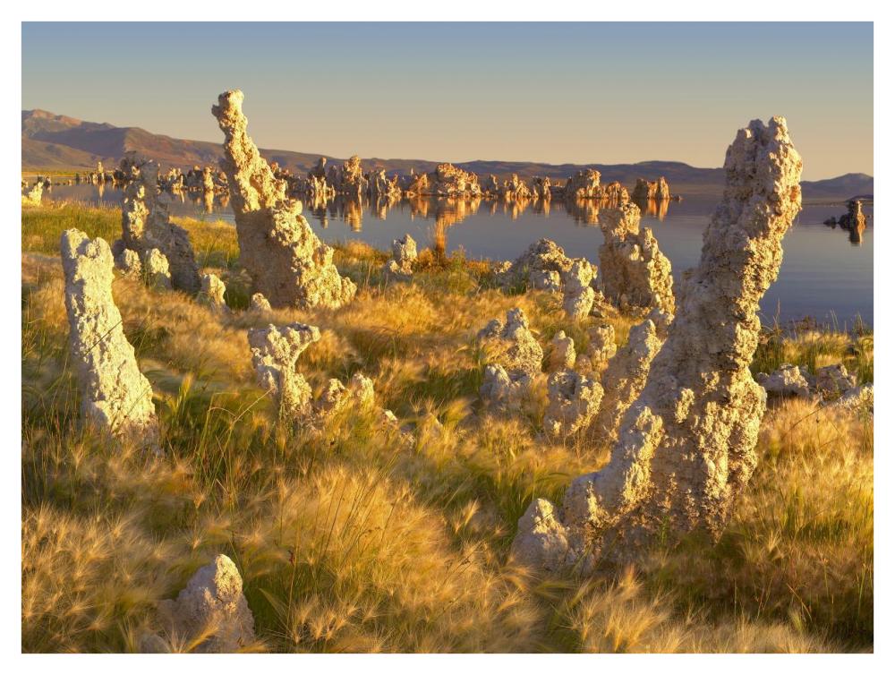 Wind And Rain Eroded Tufa Towers Amid Squirreltail Barley Mono Lake, California-Paper Art-42X32