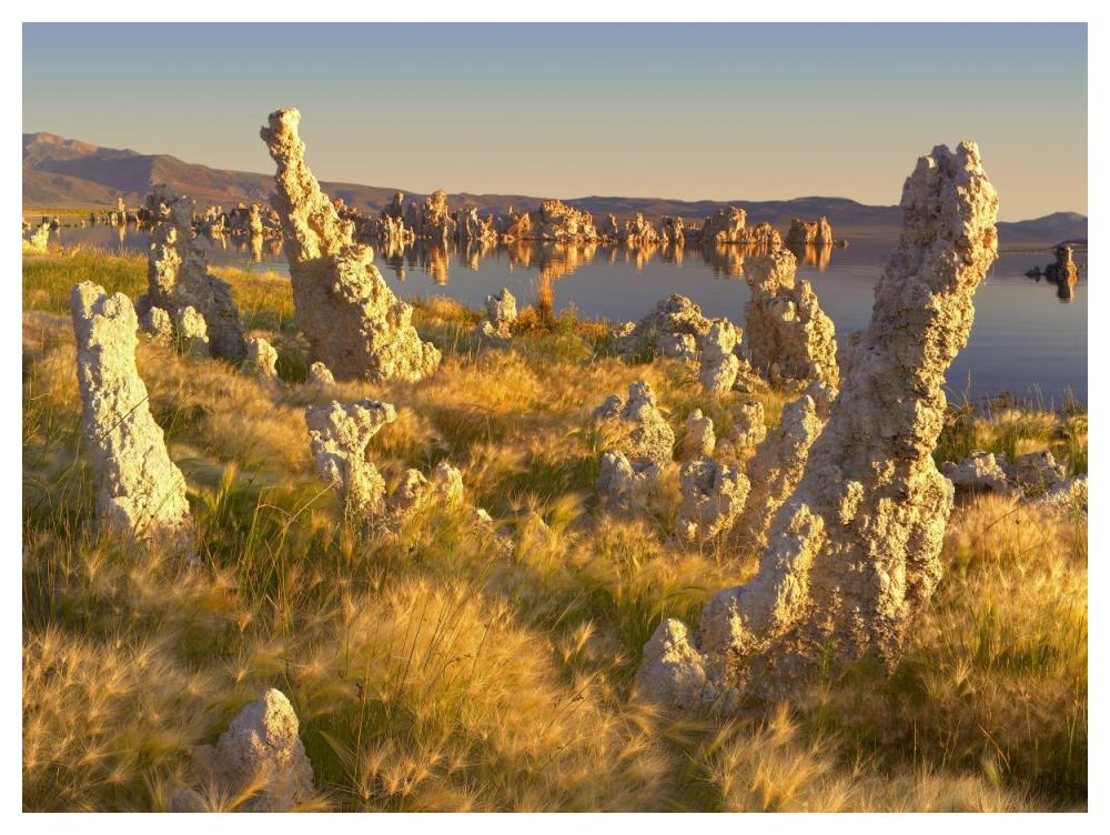 Wind And Rain Eroded Tufa Towers Amid Squirreltail Barley Mono Lake, California-Paper Art-50X38