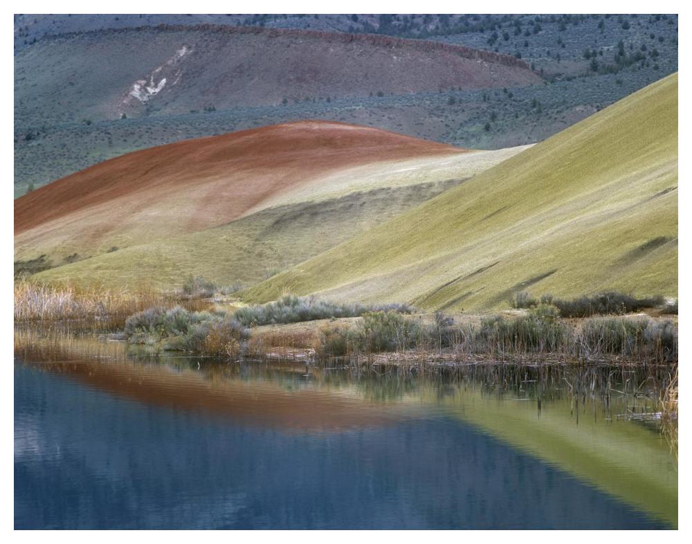 Painted Hills Reflected In Water, John Day Fossil Beds National Monument, Oregon-Paper Art-50X38
