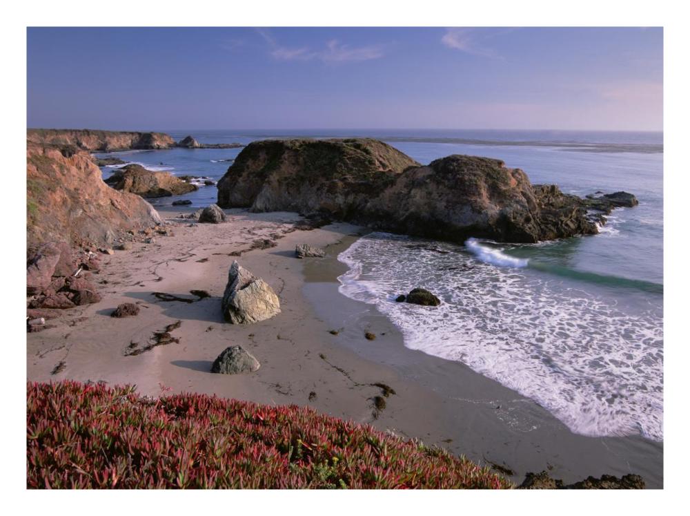 Beach Near San Simeon Creek With Ice Plant In The Foreground, Big Sur, California-Paper Art-26X20