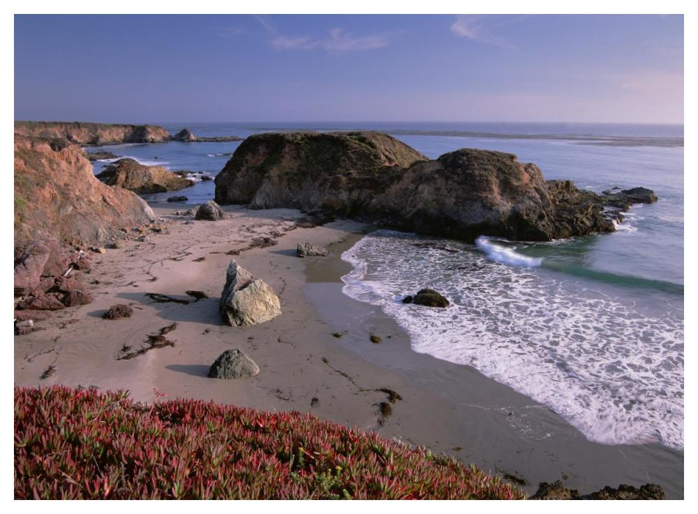Beach Near San Simeon Creek With Ice Plant In The Foreground, Big Sur, California-Paper Art-50X38