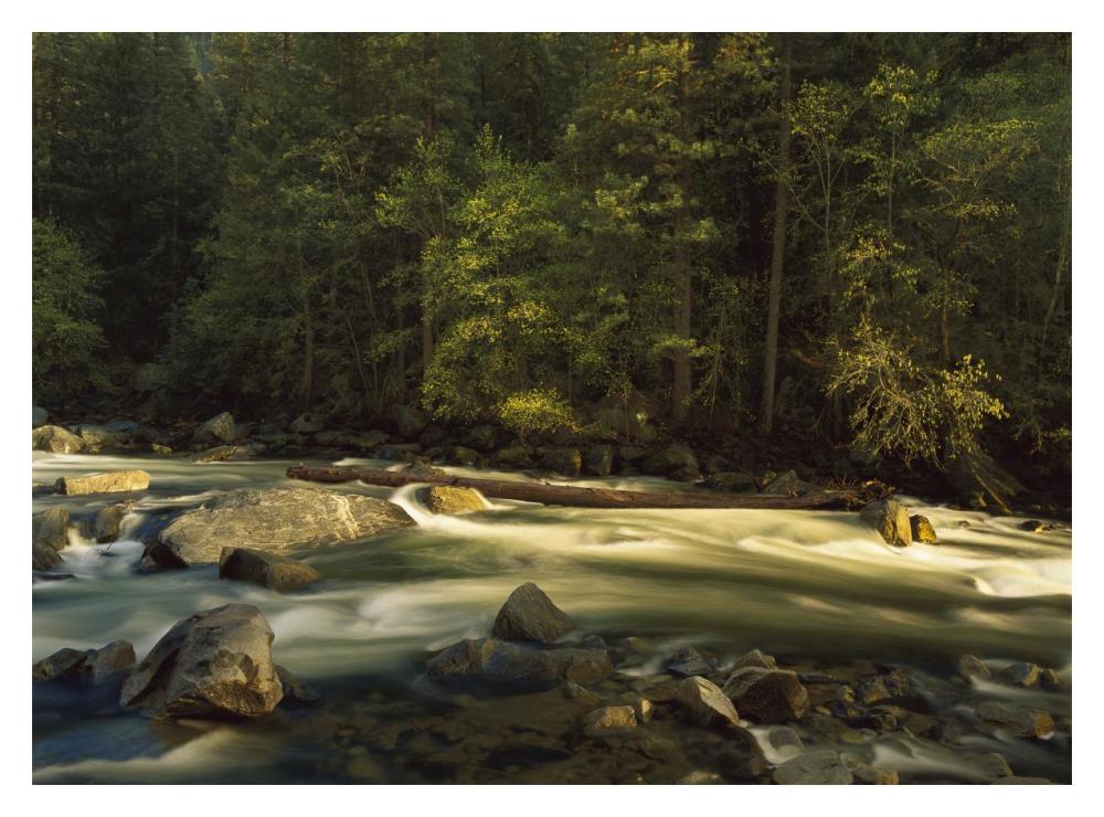 Merced River Flowing Through The Valley Floor, Yosemite National Park, California-Paper Art-18X14