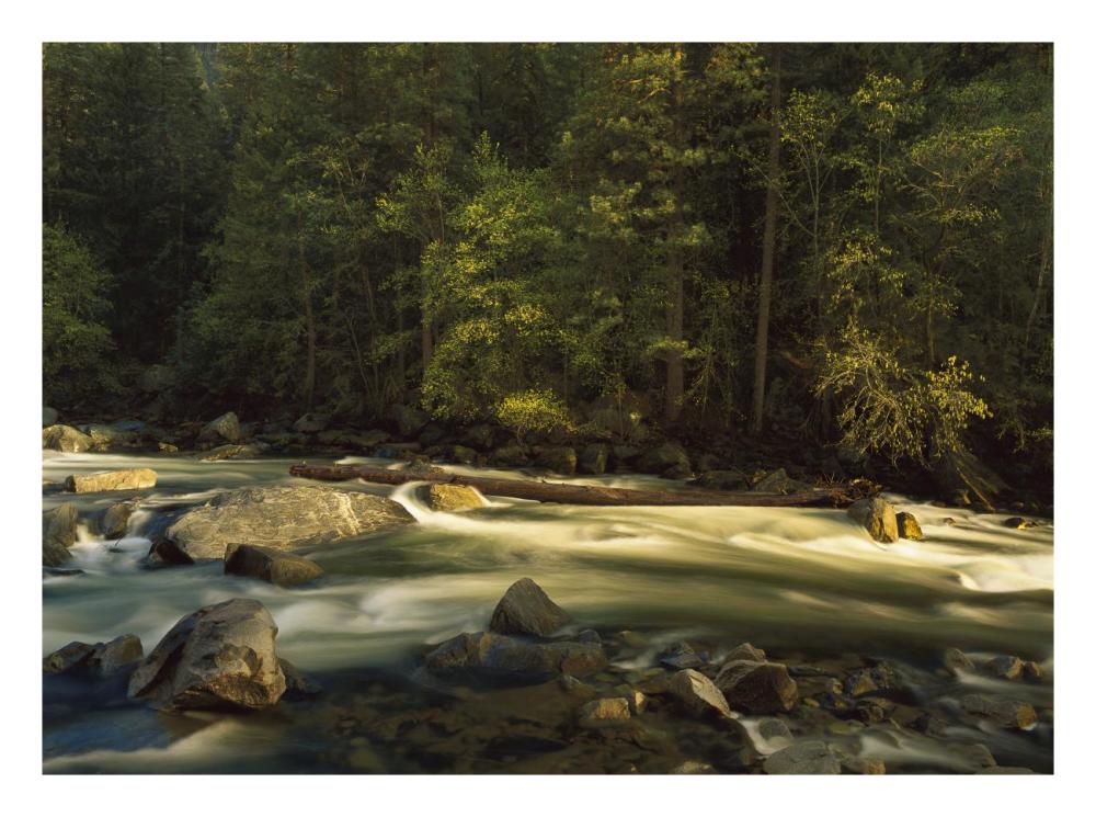 Merced River Flowing Through The Valley Floor, Yosemite National Park, California-Paper Art-26X20