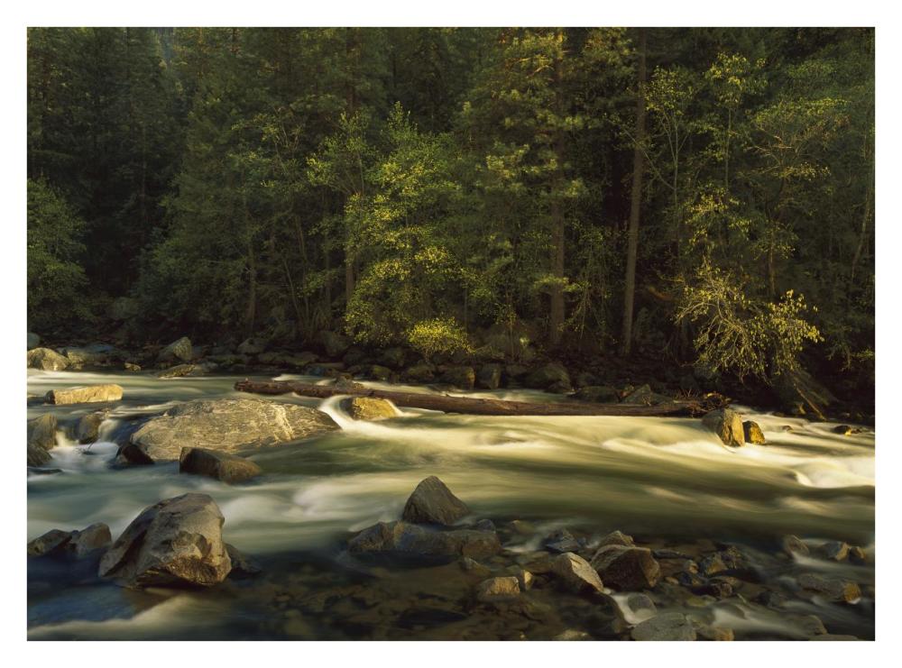Merced River Flowing Through The Valley Floor, Yosemite National Park, California-Paper Art-34X26