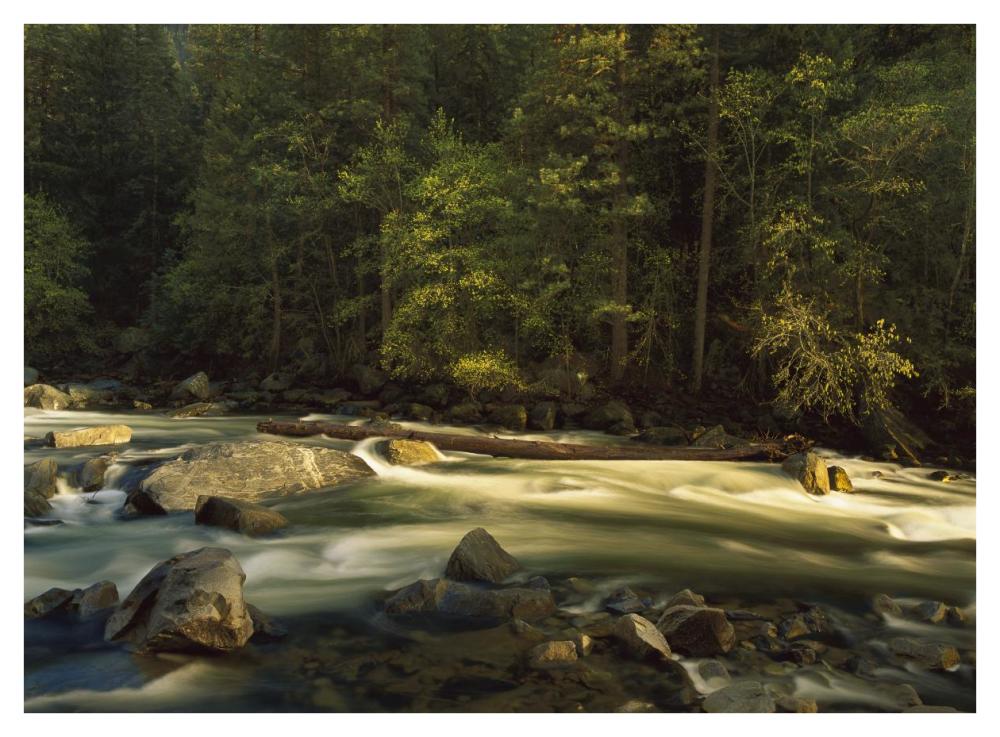 Merced River Flowing Through The Valley Floor, Yosemite National Park, California-Paper Art-42X32