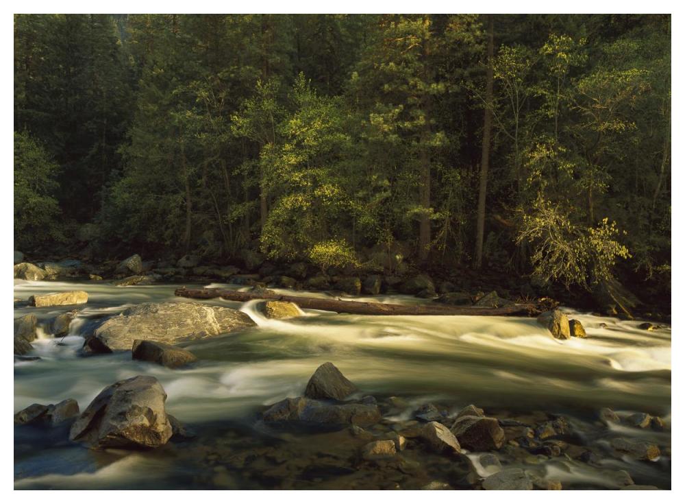 Merced River Flowing Through The Valley Floor, Yosemite National Park, California-Paper Art-50X38
