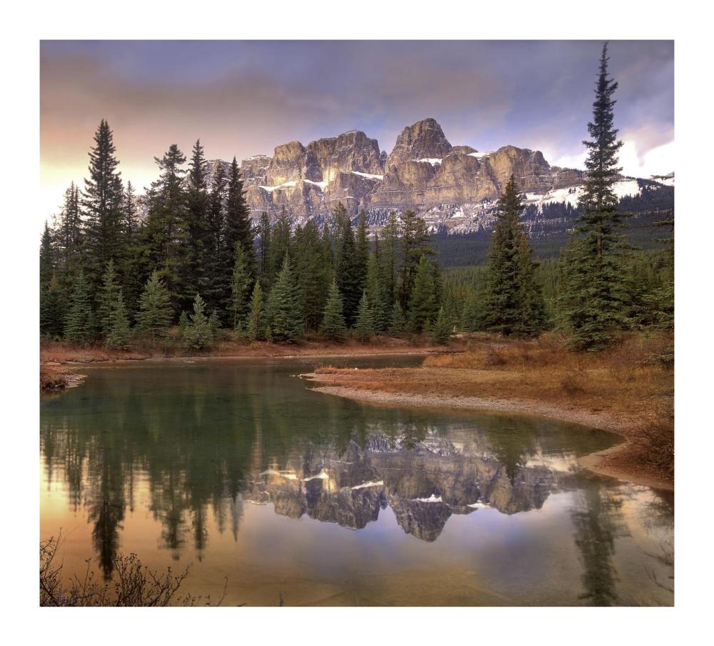 Castle Mountain And Boreal Forest Reflected In Lake, Banff National Park, Alberta-Paper Art-18X16.24