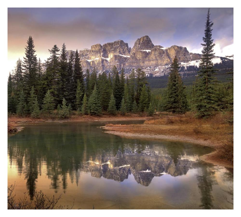 Castle Mountain And Boreal Forest Reflected In Lake, Banff National Park, Alberta-Paper Art-32X28.7