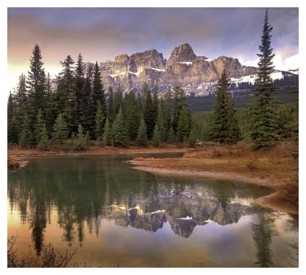 Castle Mountain And Boreal Forest Reflected In Lake, Banff National Park, Alberta-Paper Art-42X37.6