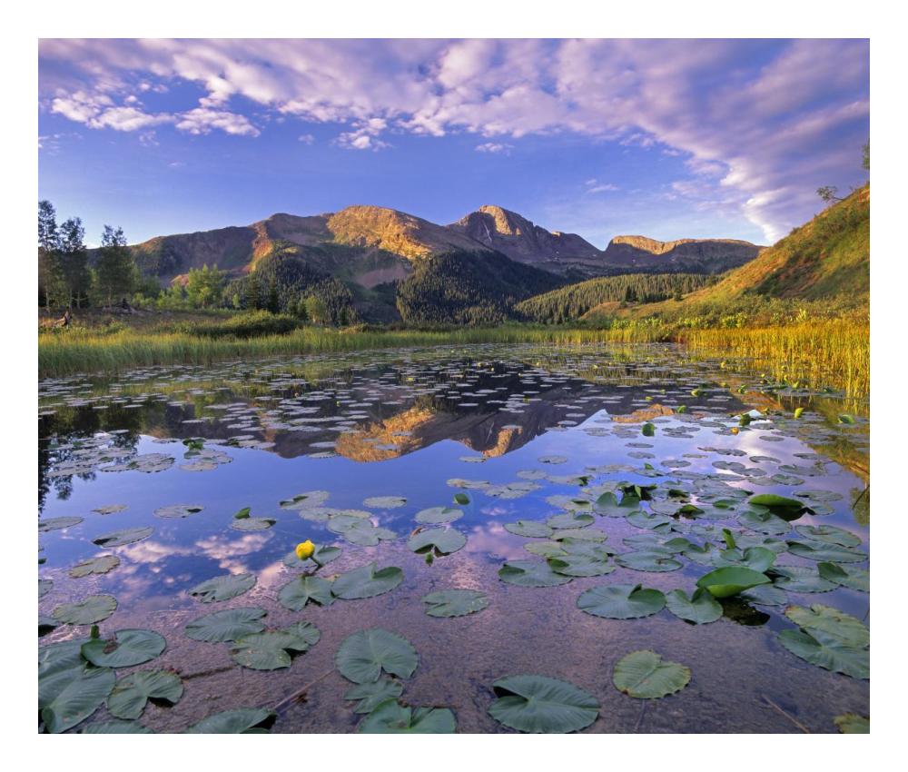 Lily Pads And Reflection Of Snowdon Peak In Pond, West Needle Mountains, Colorado-Paper Art-24X20.48