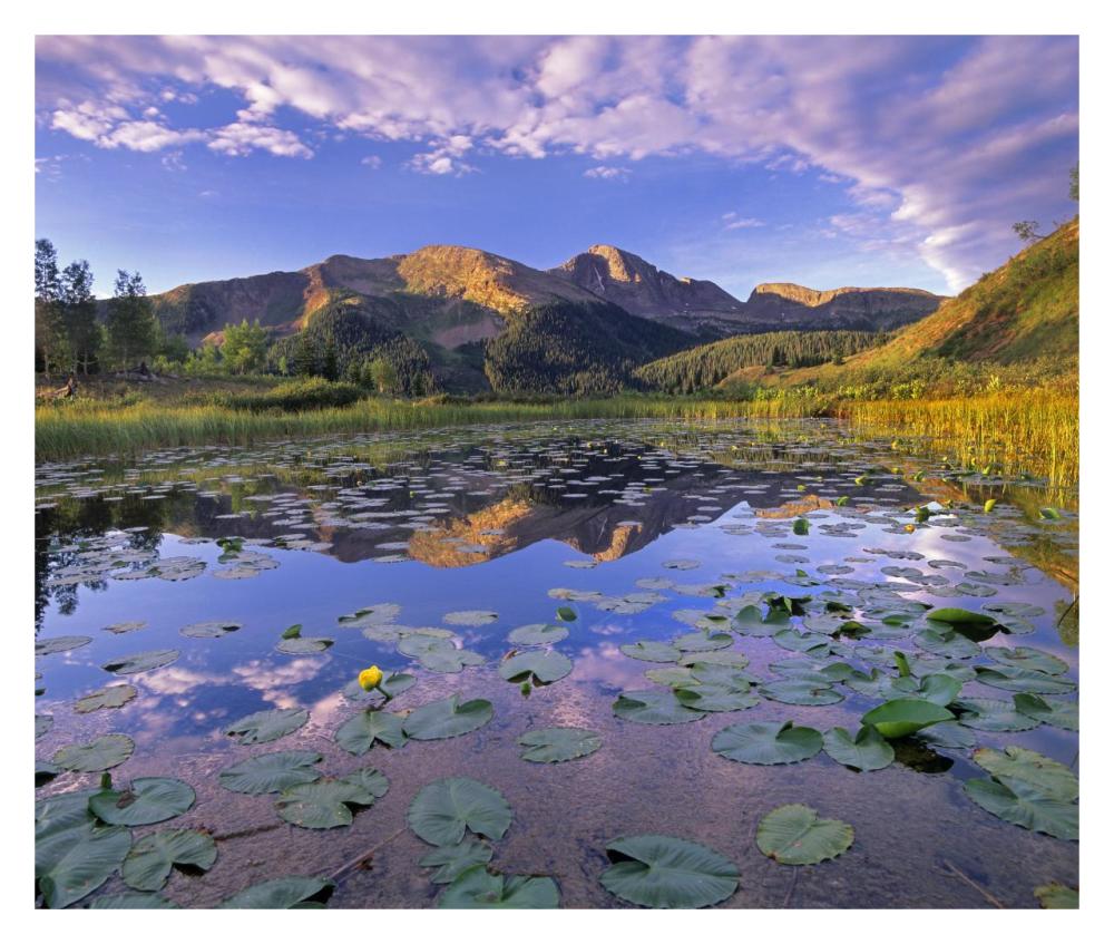 Lily Pads And Reflection Of Snowdon Peak In Pond, West Needle Mountains, Colorado-Paper Art-32X27.2