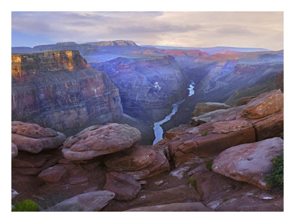 Toroweep Overlook View Of The Colorado River, Grand Canyon National Park, Arizona-Paper Art-26X20