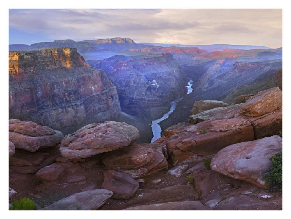Toroweep Overlook View Of The Colorado River, Grand Canyon National Park, Arizona-Paper Art-34X26