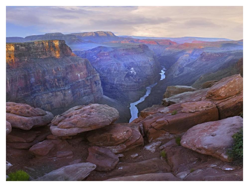 Toroweep Overlook View Of The Colorado River, Grand Canyon National Park, Arizona-Paper Art-42X32