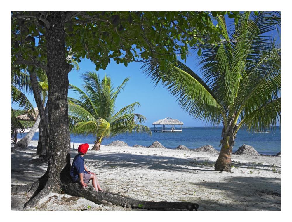 Tourist Resting Under Palm Trees On Beach At Palmetto Bay, Roatan Island, Honduras-Paper Art-26X20
