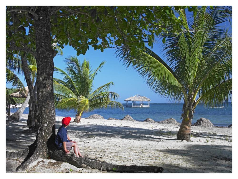 Tourist Resting Under Palm Trees On Beach At Palmetto Bay, Roatan Island, Honduras-Paper Art-42X32