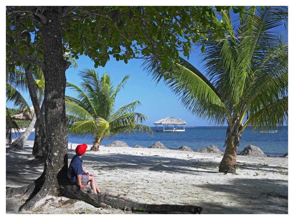 Tourist Resting Under Palm Trees On Beach At Palmetto Bay, Roatan Island, Honduras-Paper Art-50X38