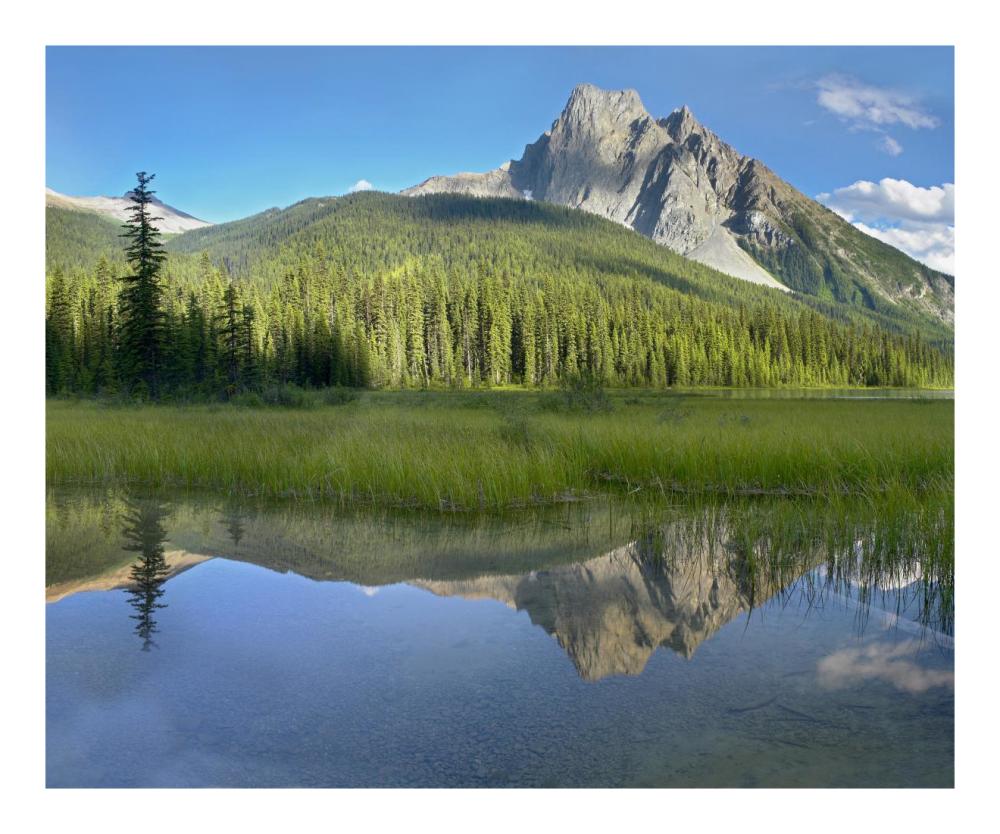 Mt Burgess Reflected In Emerald Lake, Yoho National Park, British Columbia, Canada-Paper Art-22X18