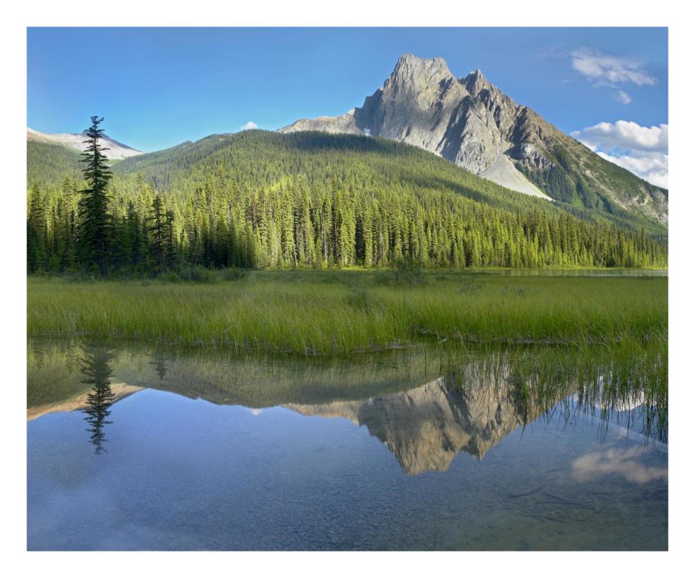 Mt Burgess Reflected In Emerald Lake, Yoho National Park, British Columbia, Canada-Paper Art-26X22
