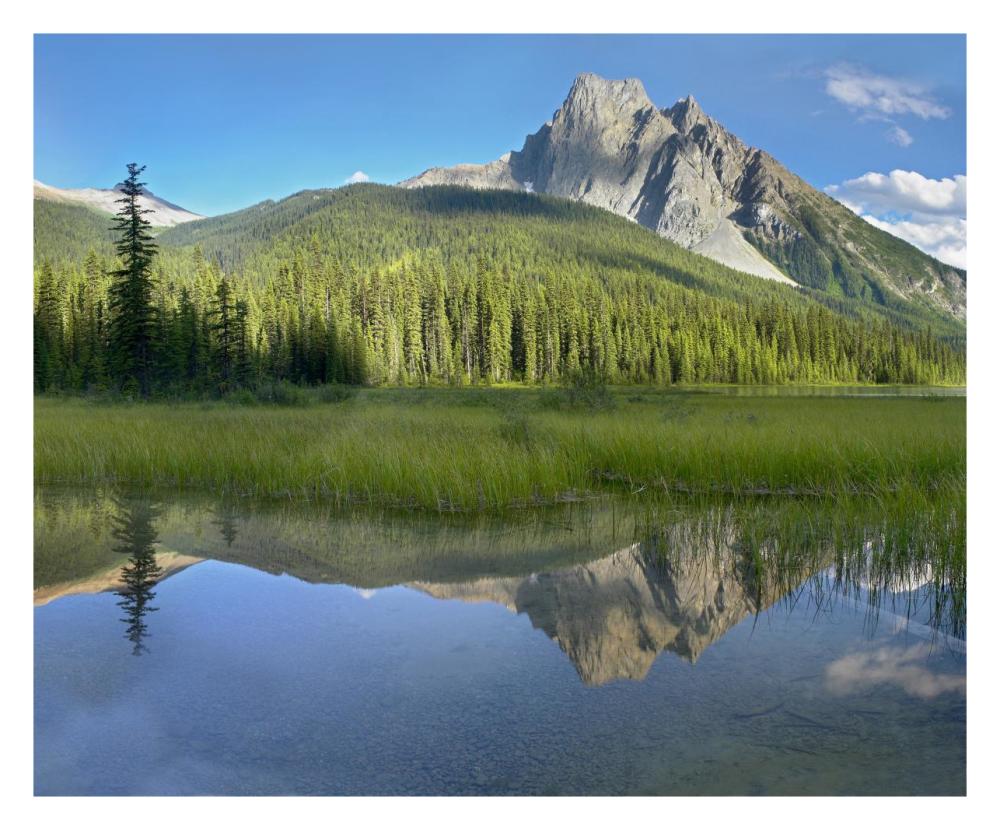 Mt Burgess Reflected In Emerald Lake, Yoho National Park, British Columbia, Canada-Paper Art-30X24