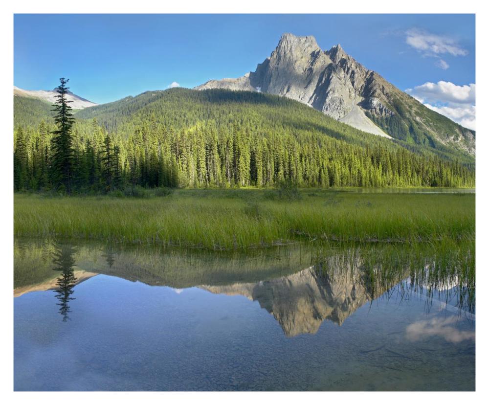 Mt Burgess Reflected In Emerald Lake, Yoho National Park, British Columbia, Canada-Paper Art-37X30