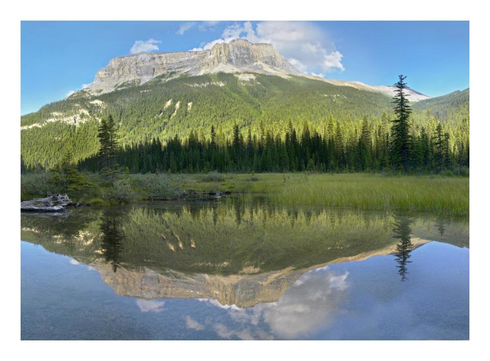 Mt Burgess Reflected In Emerald Lake, Yoho National Park, British Columbia, Canada-Paper Art-24X17.62