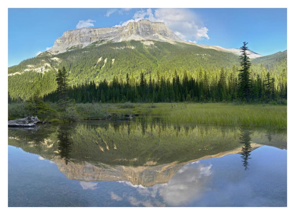 Mt Burgess Reflected In Emerald Lake, Yoho National Park, British Columbia, Canada-Paper Art-38X27.56