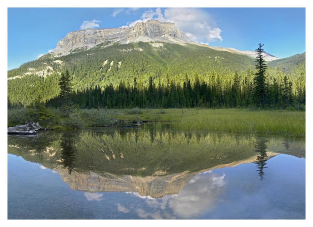 Mt Burgess Reflected In Emerald Lake, Yoho National Park, British Columbia, Canada-Paper Art-42X30.4