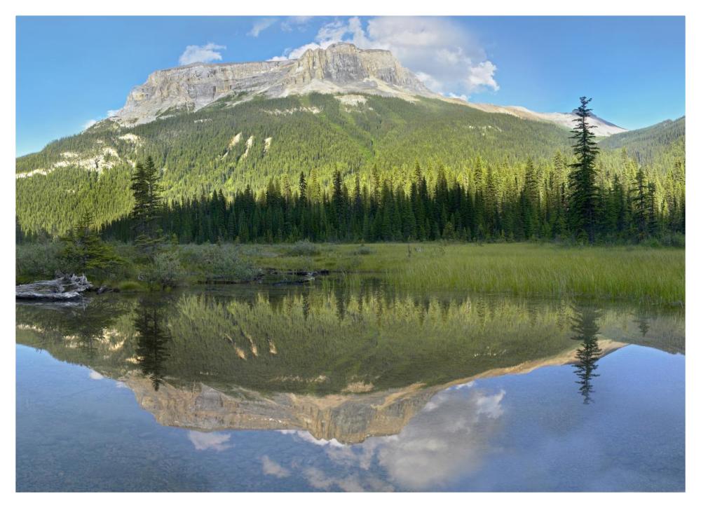 Mt Burgess Reflected In Emerald Lake, Yoho National Park, British Columbia, Canada-Paper Art-46X33.24