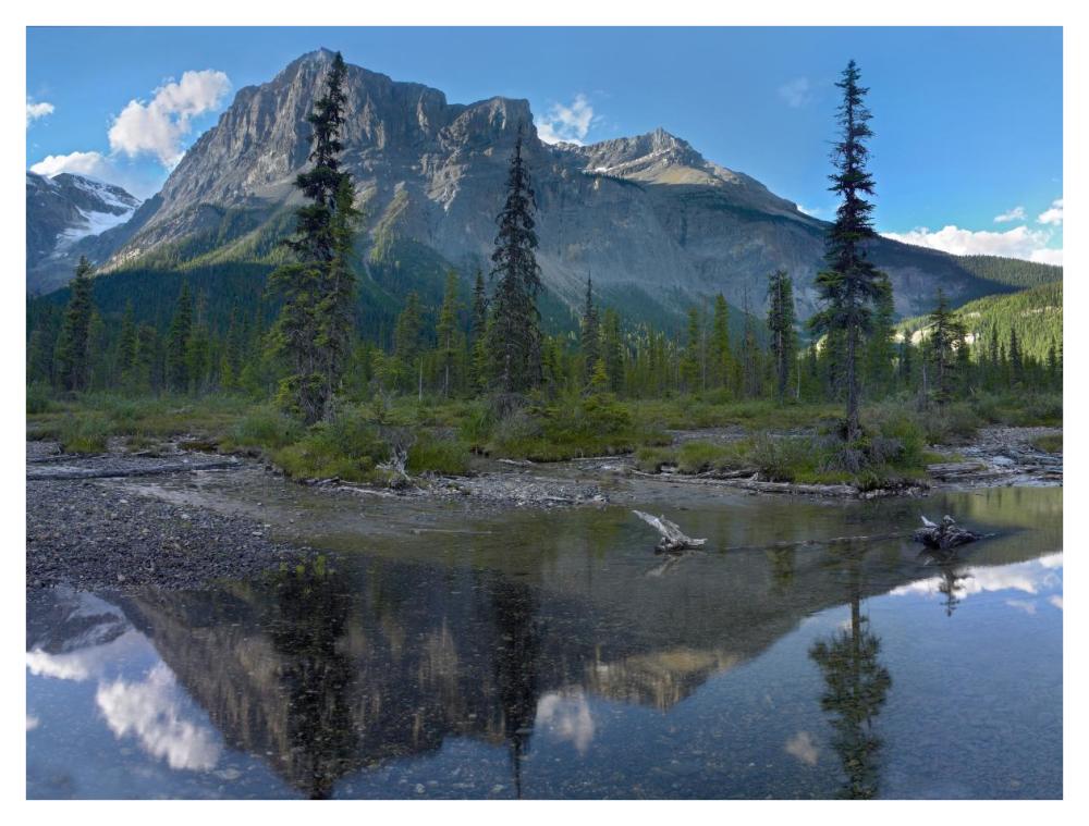 Michael Peak Reflection, Emerald Lake, Yoho National Park, British Columbia, Canada-Paper Art-42X32