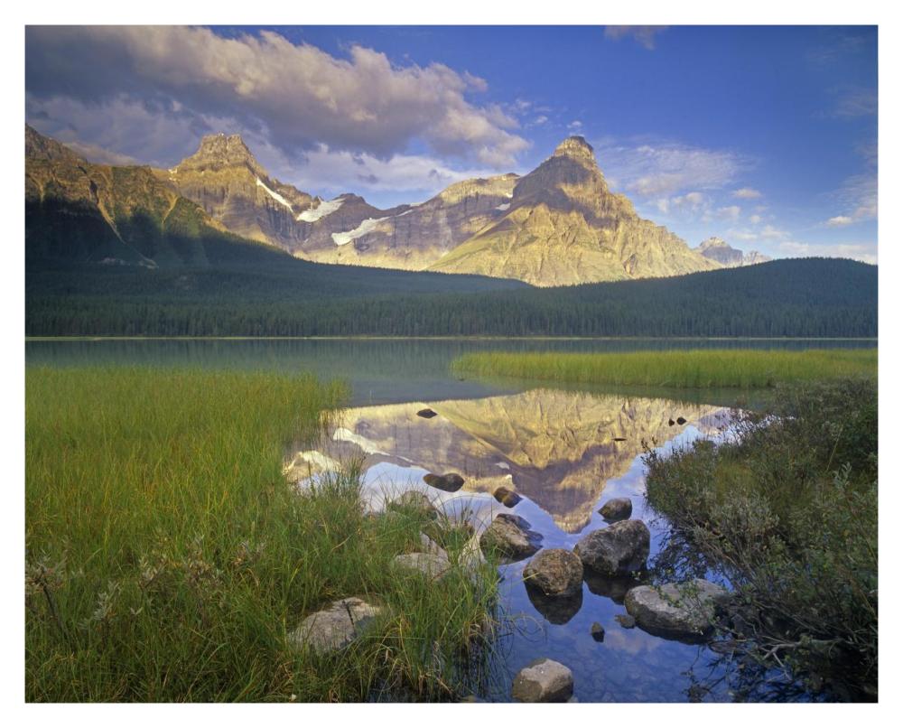Howse Peak And Mount Chephren, Waterfowl Lake, Banff National Park, Alberta, Canada-Paper Art-37X30