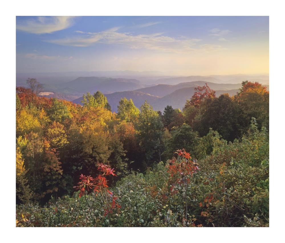 Deciduous Forest In Autumn, Blue Ridge Mountains From Doughton Park, North Carolina-Paper Art-18X15.28