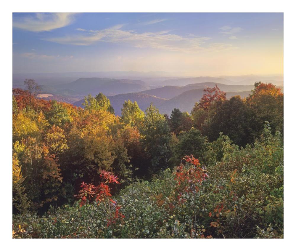 Deciduous Forest In Autumn, Blue Ridge Mountains From Doughton Park, North Carolina-Paper Art-24X20.26