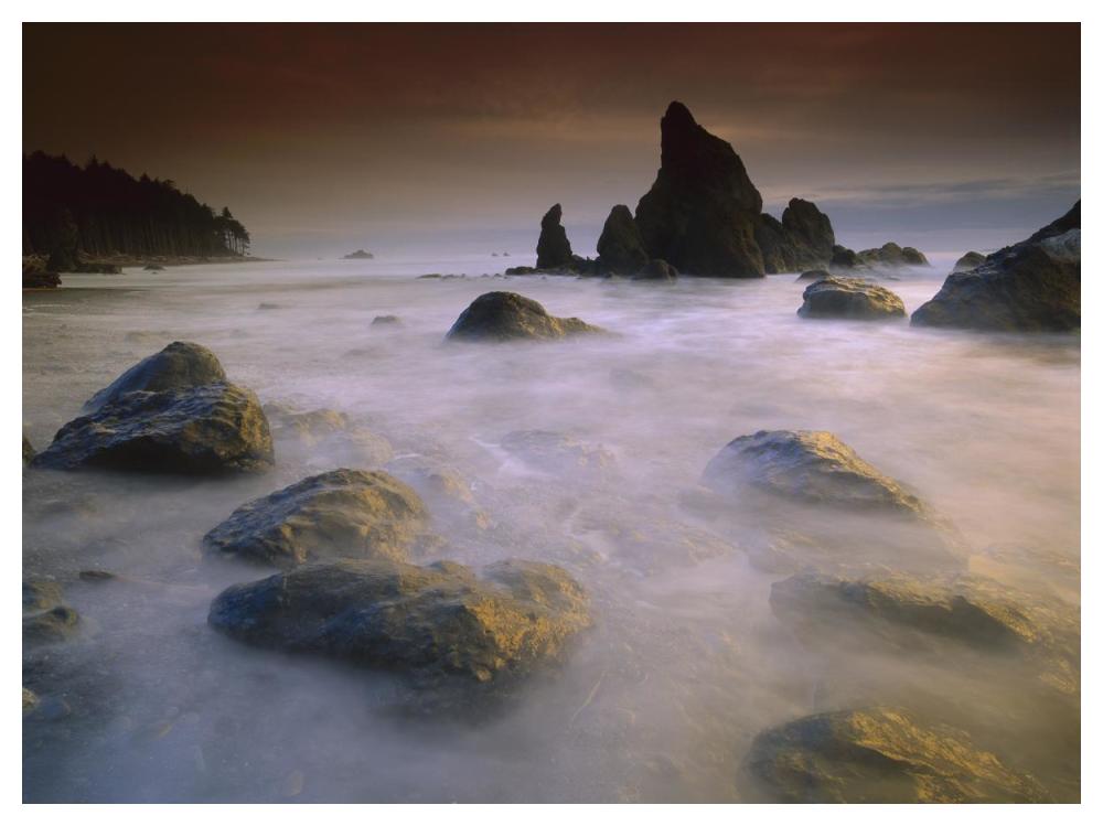 Sea Stack And Rocks Along Shoreline At Ruby Beach, Olympic National Park, Washington-Paper Art-50X38