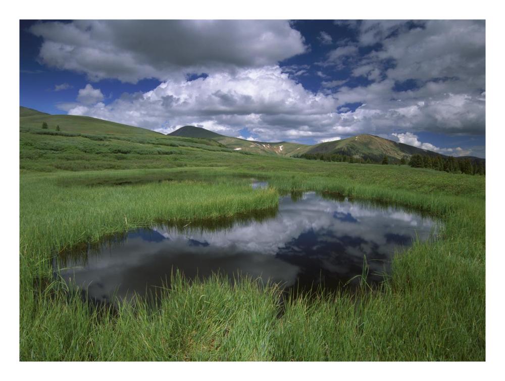Cumulus Clouds Reflected In Pond At Guanella Pass, Arapaho National Forest, Colorado-Paper Art-26X20