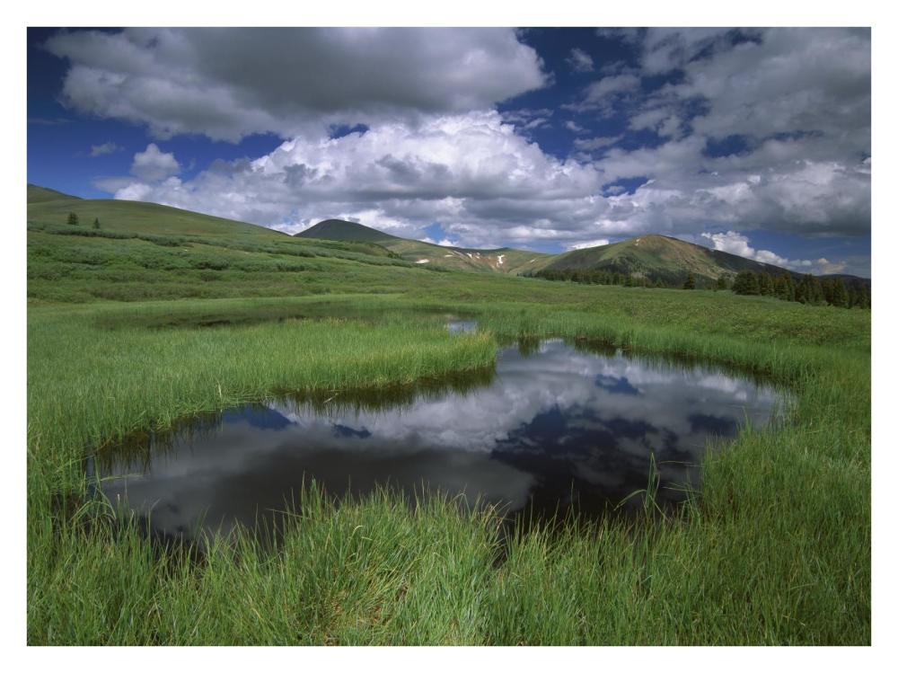 Cumulus Clouds Reflected In Pond At Guanella Pass, Arapaho National Forest, Colorado-Paper Art-34X26