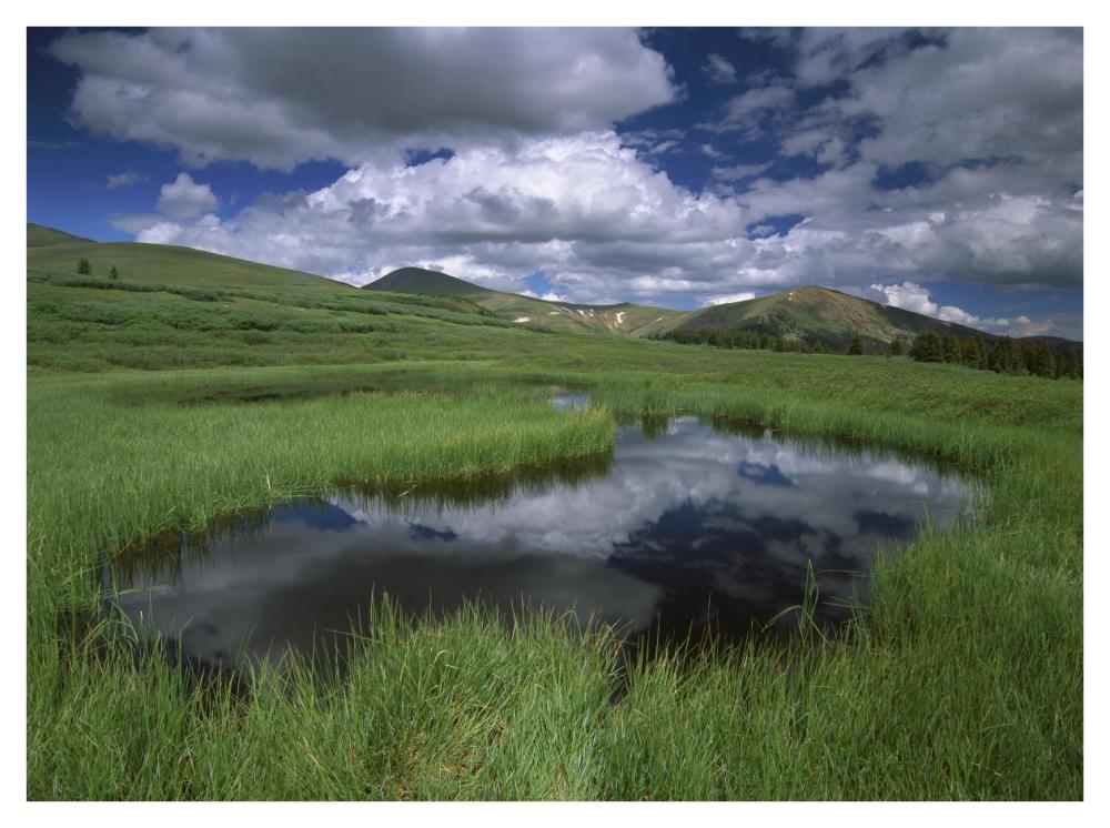 Cumulus Clouds Reflected In Pond At Guanella Pass, Arapaho National Forest, Colorado-Paper Art-42X32