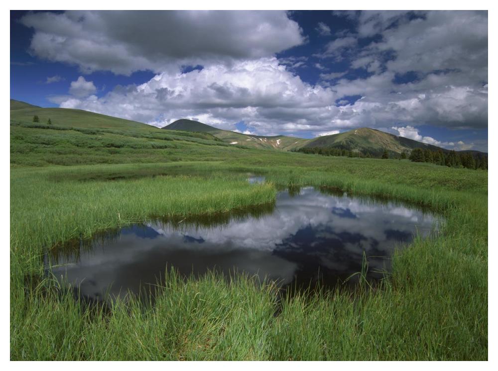 Cumulus Clouds Reflected In Pond At Guanella Pass, Arapaho National Forest, Colorado-Paper Art-50X38