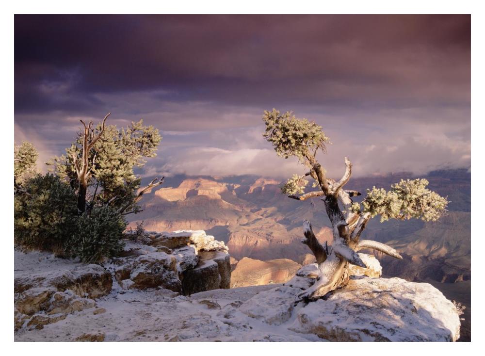 South Rim Of Grand Canyon With A Dusting Of Snow, Grand Canyon National Park, Arizona-Paper Art-18X14