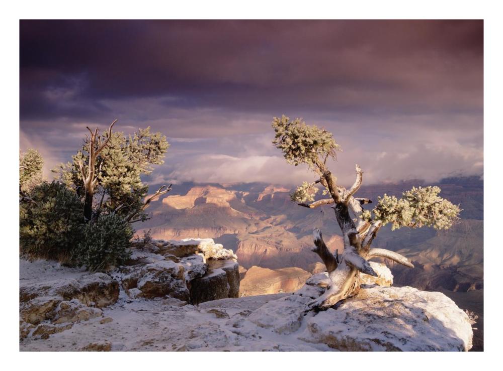 South Rim Of Grand Canyon With A Dusting Of Snow, Grand Canyon National Park, Arizona-Paper Art-26X20