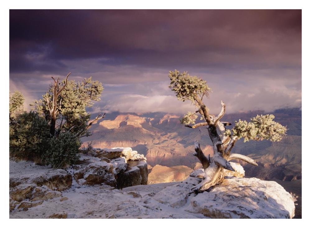 South Rim Of Grand Canyon With A Dusting Of Snow, Grand Canyon National Park, Arizona-Paper Art-34X26