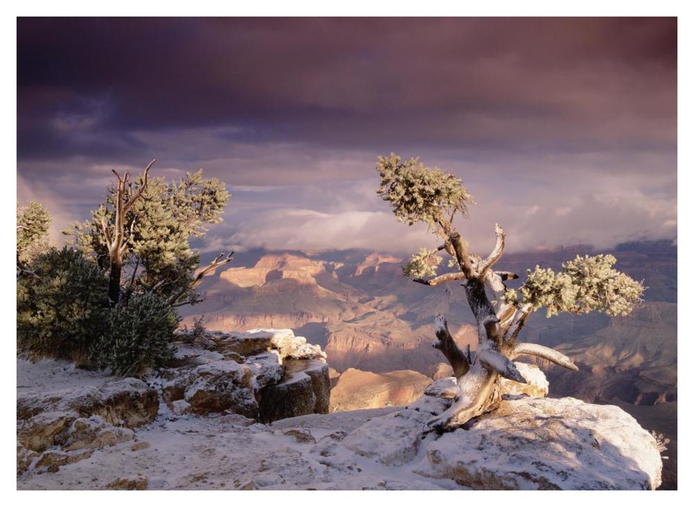 South Rim Of Grand Canyon With A Dusting Of Snow, Grand Canyon National Park, Arizona-Paper Art-42X32