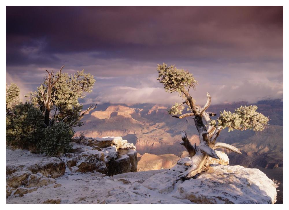 South Rim Of Grand Canyon With A Dusting Of Snow, Grand Canyon National Park, Arizona-Paper Art-50X38