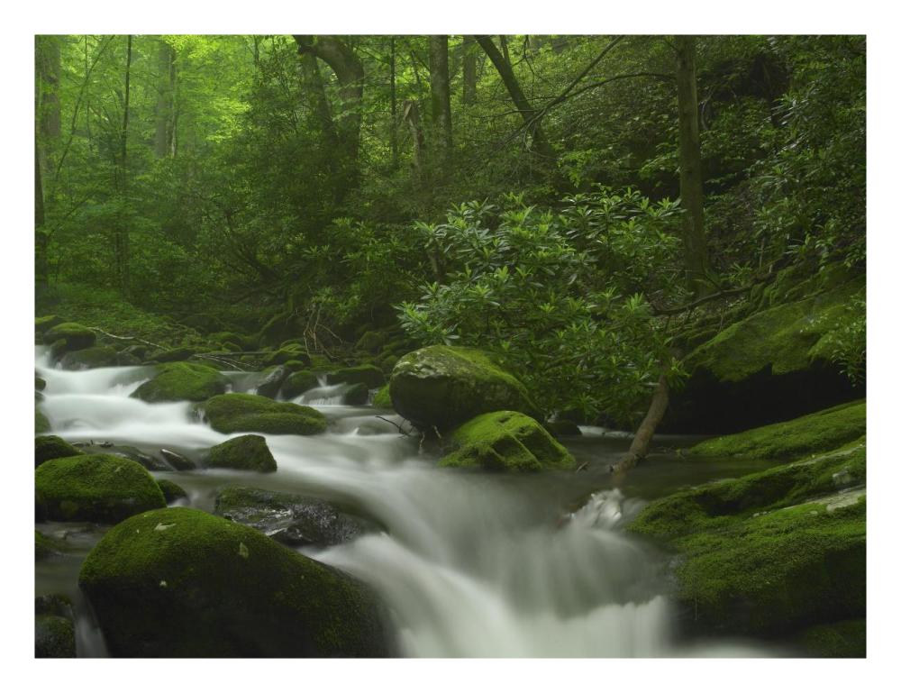 Roaring Fork River Flowing Through The Great Smoky Mountains National Park, Tennessee-Paper Art-26X20