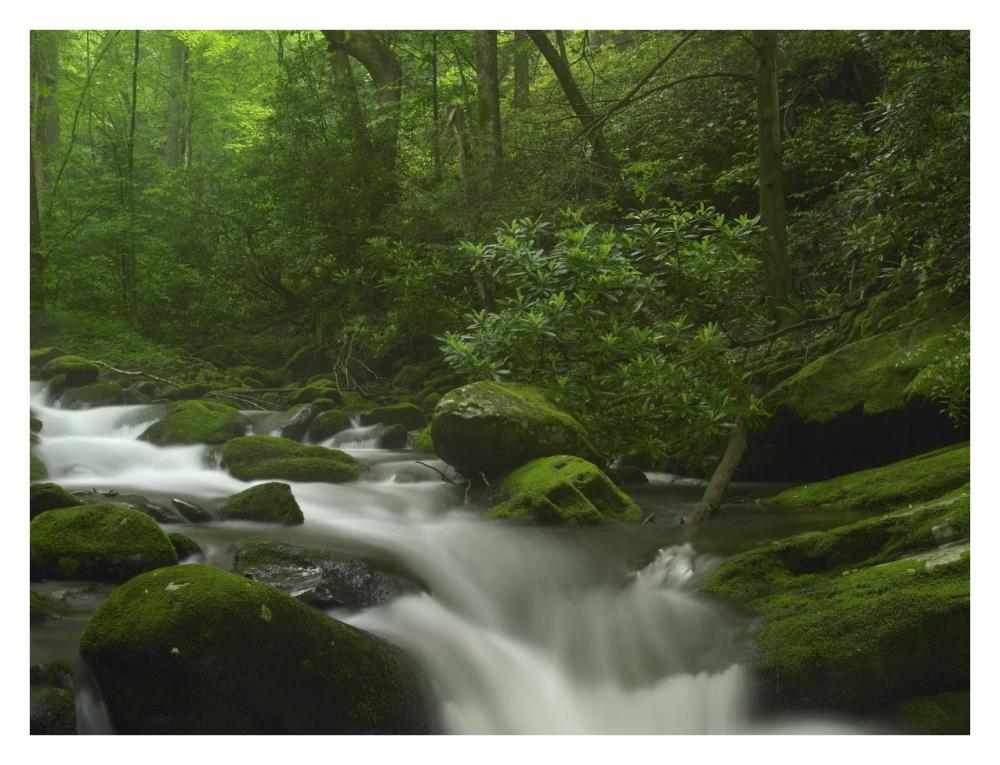 Roaring Fork River Flowing Through The Great Smoky Mountains National Park, Tennessee-Paper Art-34X26