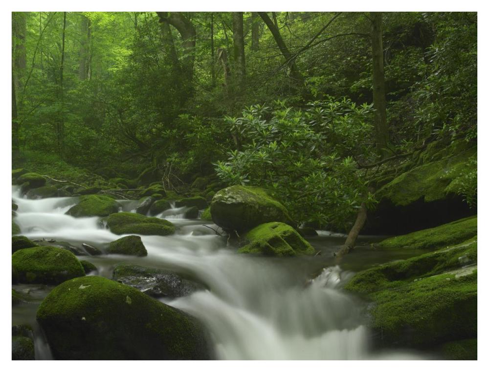 Roaring Fork River Flowing Through The Great Smoky Mountains National Park, Tennessee-Paper Art-42X32