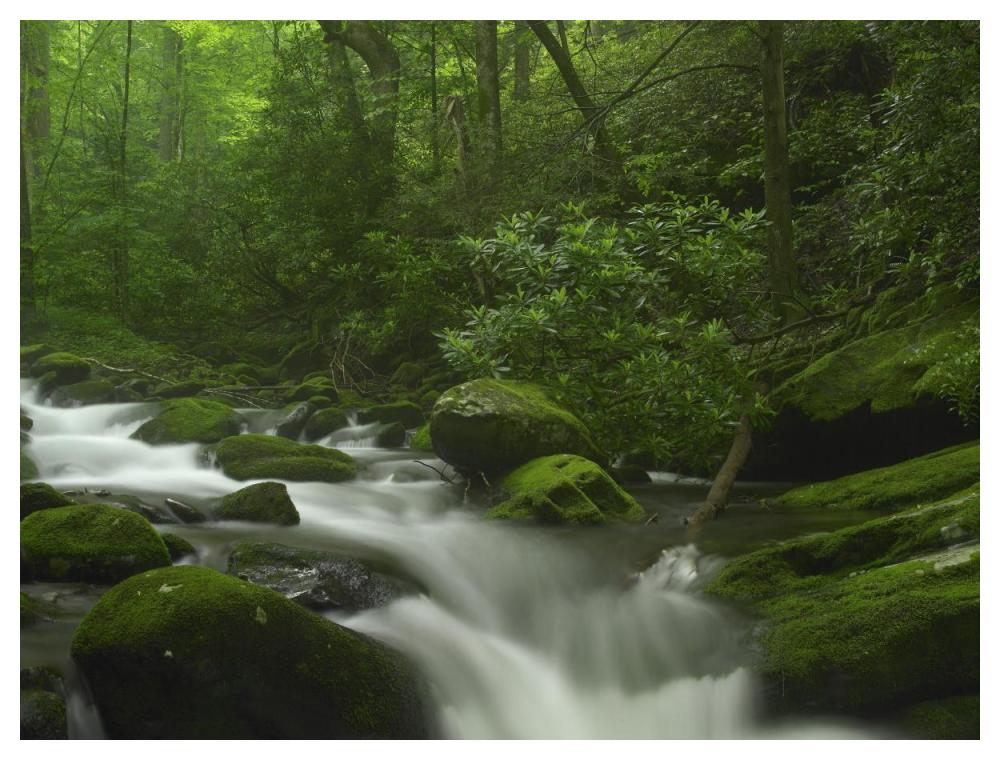 Roaring Fork River Flowing Through The Great Smoky Mountains National Park, Tennessee-Paper Art-50X38