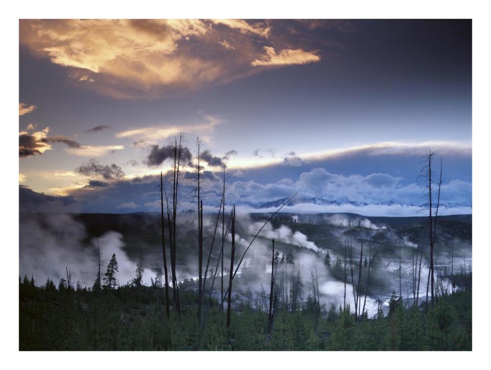 Norris Geyser Basin With Steam Plumes From Geysers, Yellowstone National Park, Wyoming-Paper Art-26X20