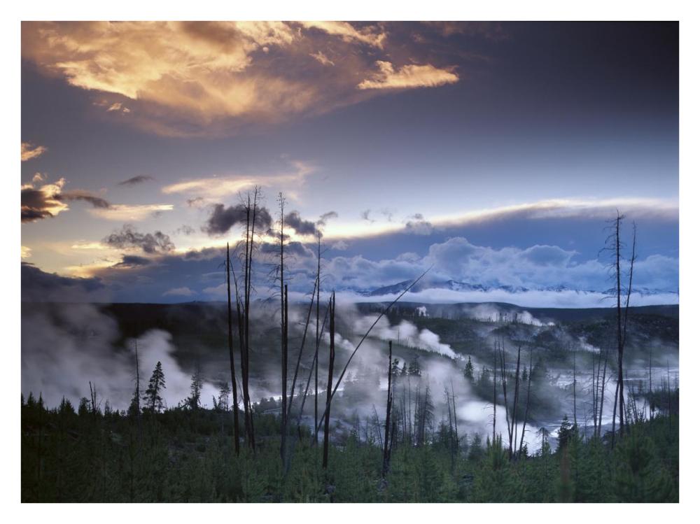 Norris Geyser Basin With Steam Plumes From Geysers, Yellowstone National Park, Wyoming-Paper Art-34X26