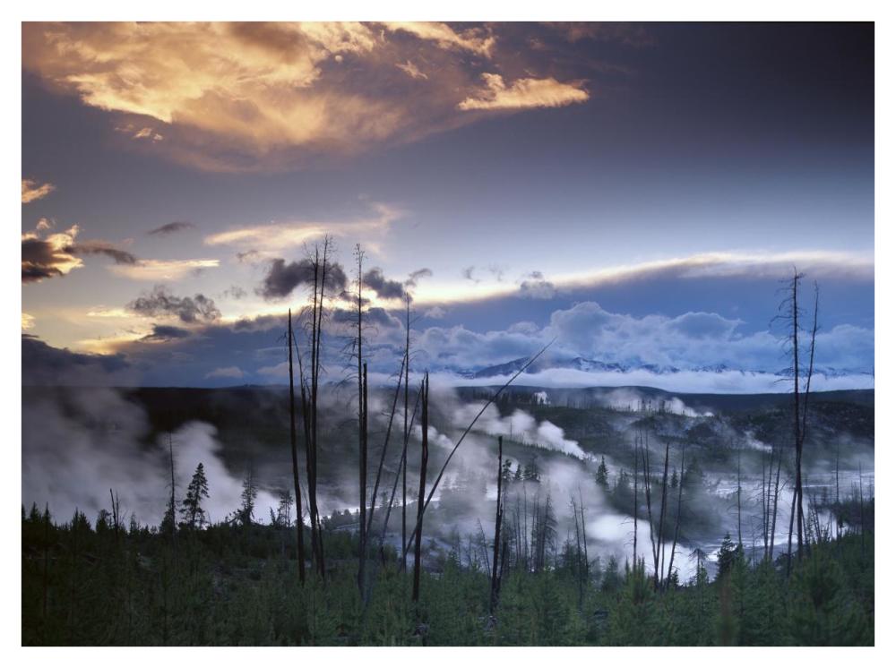 Norris Geyser Basin With Steam Plumes From Geysers, Yellowstone National Park, Wyoming-Paper Art-42X32